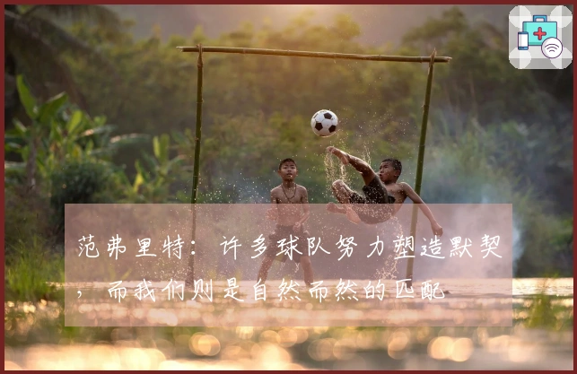 范弗里特：许多球队努力塑造默契，而我们则是自然而然的匹配